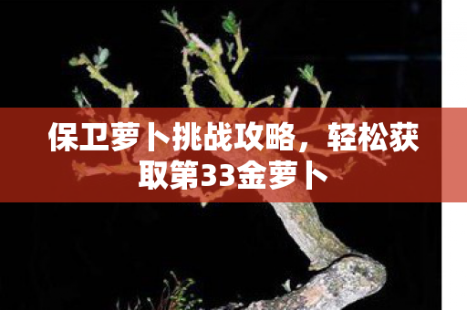 保卫萝卜挑战攻略,轻松获取第33金萝卜