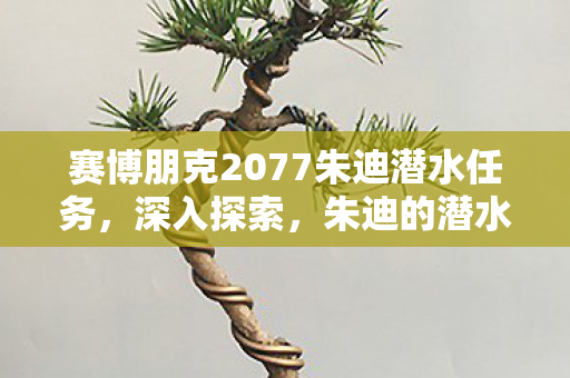 赛博朋克2077朱迪潜水任务，深入探索，朱迪的潜水任务在赛博朋克2077中的秘密