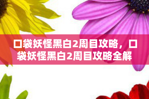 口袋妖怪黑白2周目攻略，口袋妖怪黑白2周目攻略全解析