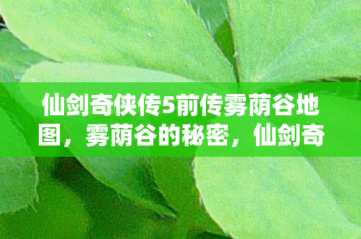 仙剑奇侠传5前传雾荫谷地图，雾荫谷的秘密，仙剑奇侠传五前传中的神秘之地