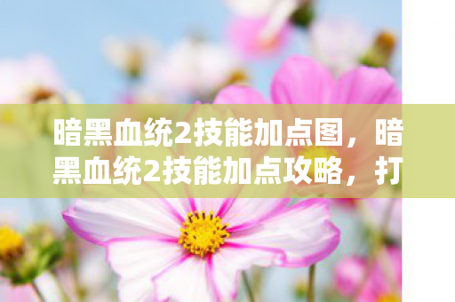暗黑血统2技能加点图，暗黑血统2技能加点攻略，打造无敌战斗机器