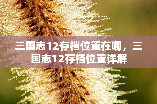 三国志12存档位置在哪，三国志12存档位置详解