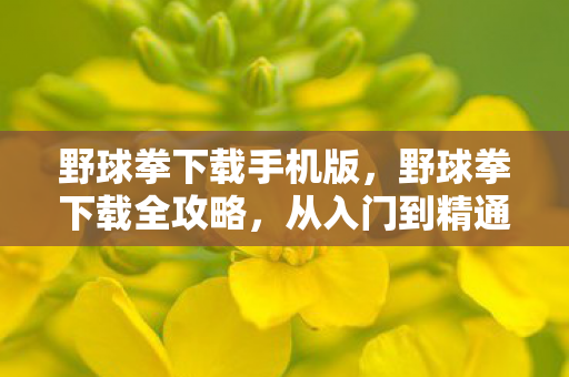 野球拳下载手机版，野球拳下载全攻略，从入门到精通
