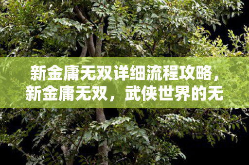 新金庸无双详细流程攻略，新金庸无双，武侠世界的无尽魅力