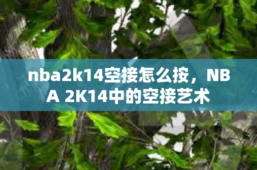nba2k14空接怎么按，NBA 2K14中的空接艺术
