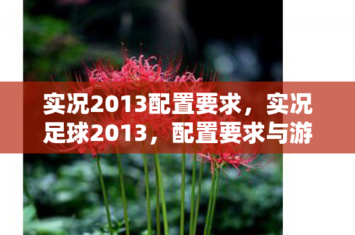 实况2013配置要求，实况足球2013，配置要求与游戏体验