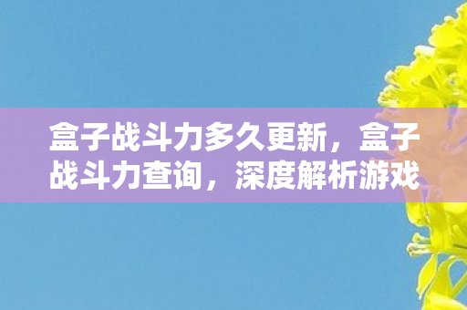 盒子战斗力多久更新，盒子战斗力查询，深度解析游戏内外的实力对比