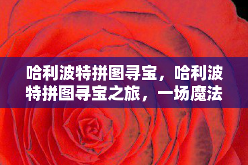 哈利波特拼图寻宝，哈利波特拼图寻宝之旅，一场魔法世界的冒险盛宴（9月29日更新）