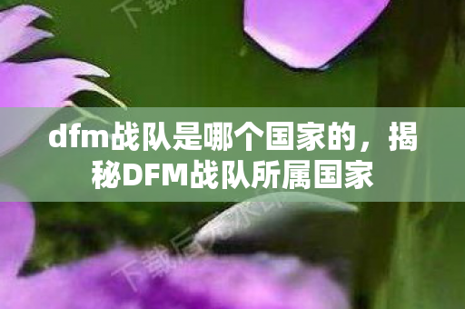 dfm战队是哪个国家的，揭秘DFM战队所属国家