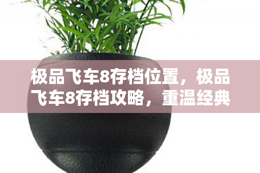极品飞车8存档位置，极品飞车8存档攻略，重温经典飙车之旅