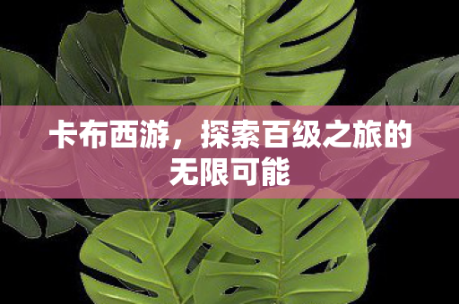 卡布西游，探索百级之旅的无限可能