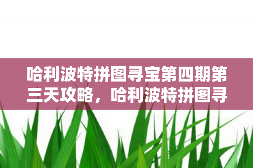 哈利波特拼图寻宝第四期第三天攻略，哈利波特拼图寻宝第四天，深入探索霍格沃茨的奥秘