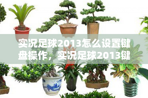 实况足球2013怎么设置键盘操作，实况足球2013键盘设置指南