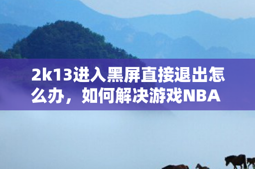 2k13进入黑屏直接退出怎么办，如何解决游戏NBA 2K13进入黑屏后直接退出的问题