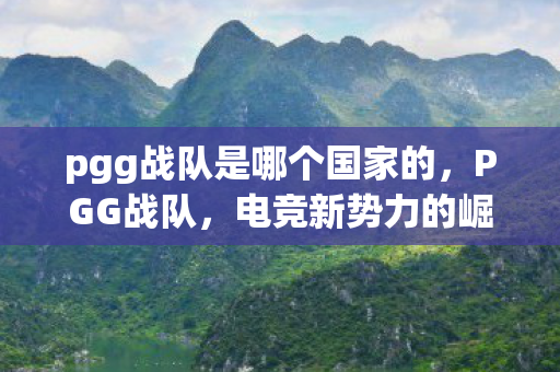 pgg战队是哪个国家的，PGG战队，电竞新势力的崛起