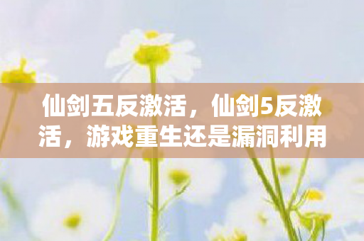 仙剑五反激活，仙剑5反激活，游戏重生还是漏洞利用？