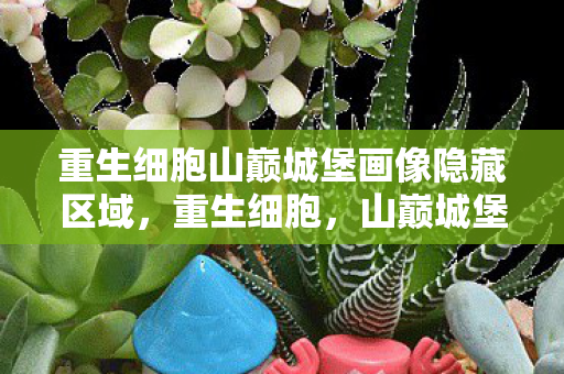 重生细胞山巅城堡画像隐藏区域，重生细胞，山巅城堡的神秘画像