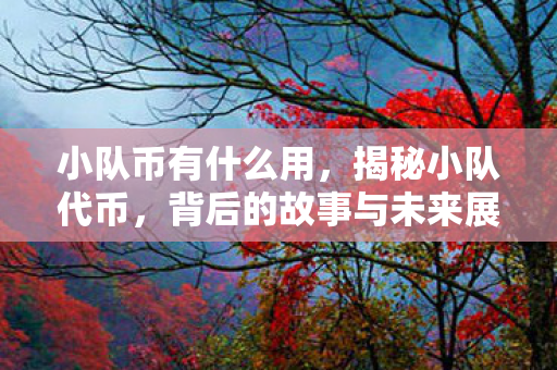 小队币有什么用，揭秘小队代币，背后的故事与未来展望