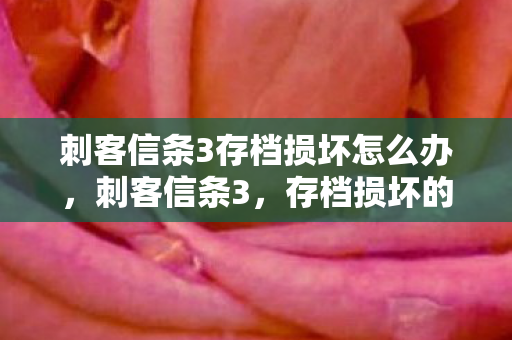 刺客信条3存档损坏怎么办，刺客信条3，存档损坏的困扰与解决之道