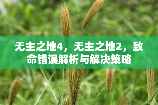 无主之地4，无主之地2，致命错误解析与解决策略