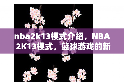 nba2k13模式介绍，NBA 2K13模式，篮球游戏的新纪元