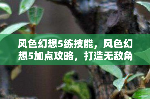 风色幻想5练技能，风色幻想5加点攻略，打造无敌角色，轻松登顶排行榜！