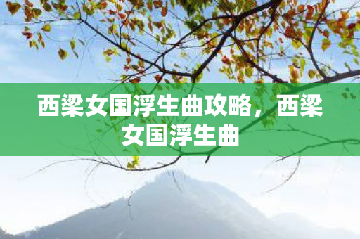 西梁女国浮生曲攻略，西梁女国浮生曲