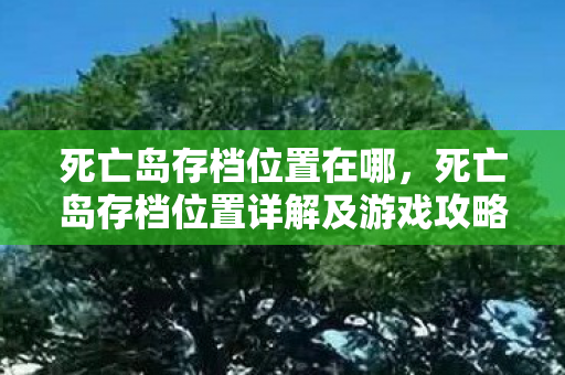 死亡岛存档位置在哪，死亡岛存档位置详解及游戏攻略