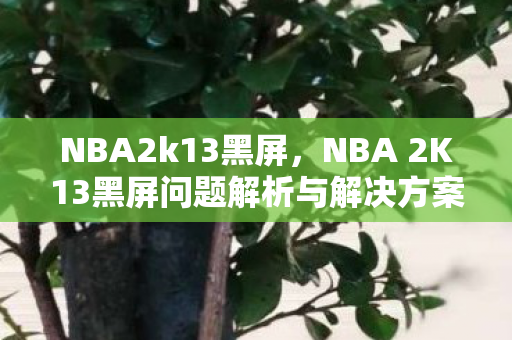 NBA2k13黑屏，NBA 2K13黑屏问题解析与解决方案