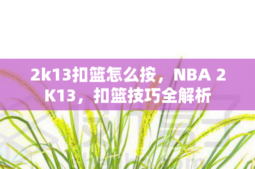 2k13扣篮怎么按，NBA 2K13，扣篮技巧全解析