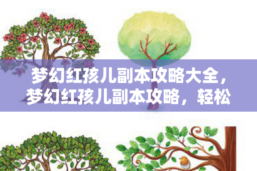 梦幻红孩儿副本攻略大全，梦幻红孩儿副本攻略，轻松挑战，赢得胜利！