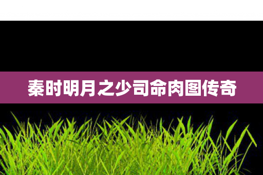 秦时明月之少司命肉图传奇