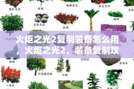 火炬之光2复制装备怎么用，火炬之光2，装备复制攻略