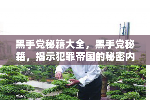 黑手党秘籍大全，黑手党秘籍，揭示犯罪帝国的秘密内幕