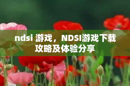 ndsi 游戏，NDSI游戏下载攻略及体验分享
