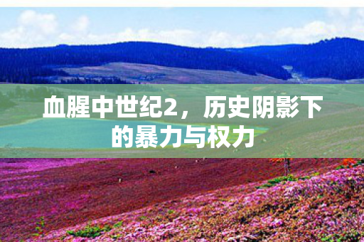 血腥中世纪2，历史阴影下的暴力与权力