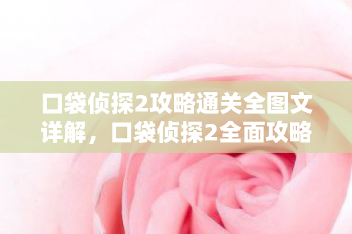 口袋侦探2攻略通关全图文详解，口袋侦探2全面攻略