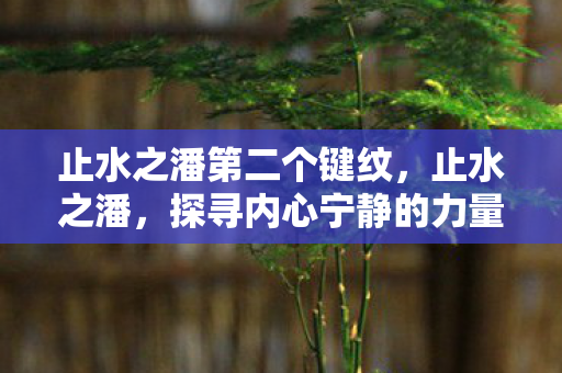 止水之潘第二个键纹，止水之潘，探寻内心宁静的力量