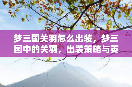 梦三国关羽怎么出装，梦三国中的关羽，出装策略与英雄风采