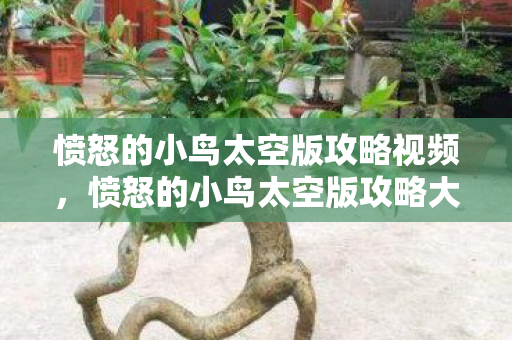 愤怒的小鸟太空版攻略视频，愤怒的小鸟太空版攻略大全，从新手到高手的全面指南