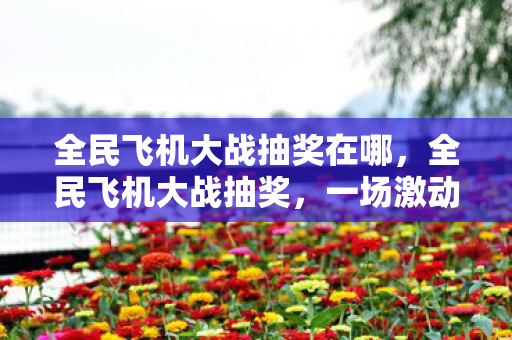 全民飞机大战抽奖在哪，全民飞机大战抽奖，一场激动人心的盛宴