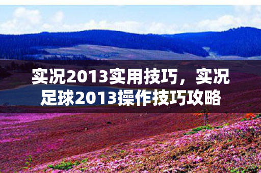 实况2013实用技巧，实况足球2013操作技巧攻略