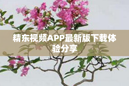 精东视频APP最新版下载体验分享