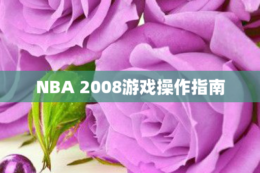 NBA 2008游戏操作指南