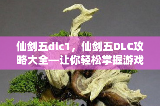 仙剑五dlc1，仙剑五DLC攻略大全—让你轻松掌握游戏秘籍