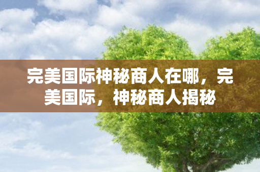 完美国际神秘商人在哪，完美国际，神秘商人揭秘
