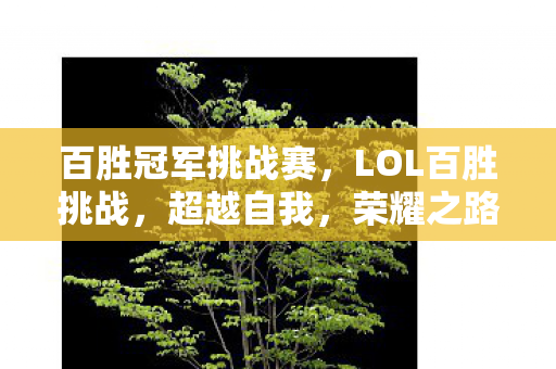 百胜冠军挑战赛，LOL百胜挑战，超越自我，荣耀之路