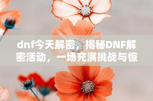 dnf今天解密，揭秘DNF解密活动，一场充满挑战与惊喜的冒险之旅