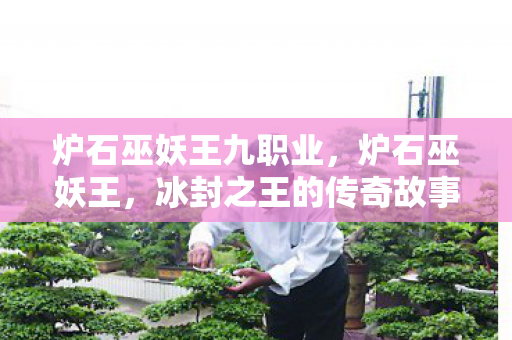 炉石巫妖王九职业，炉石巫妖王，冰封之王的传奇故事
