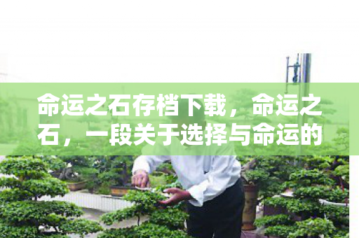 命运之石存档下载，命运之石，一段关于选择与命运的神秘传说